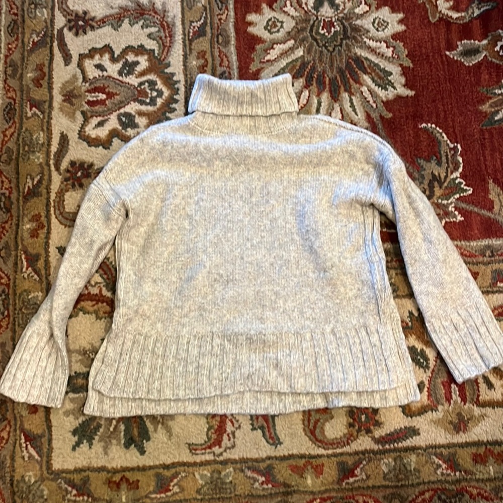 Beautiful Philosophy turtleneck sweater- Size M but fits like a M Petite.